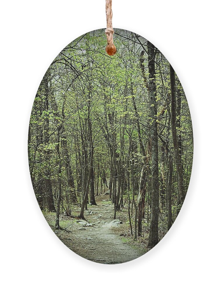 Forest Ornament featuring the photograph The Magic Forest by Roberta Byram
