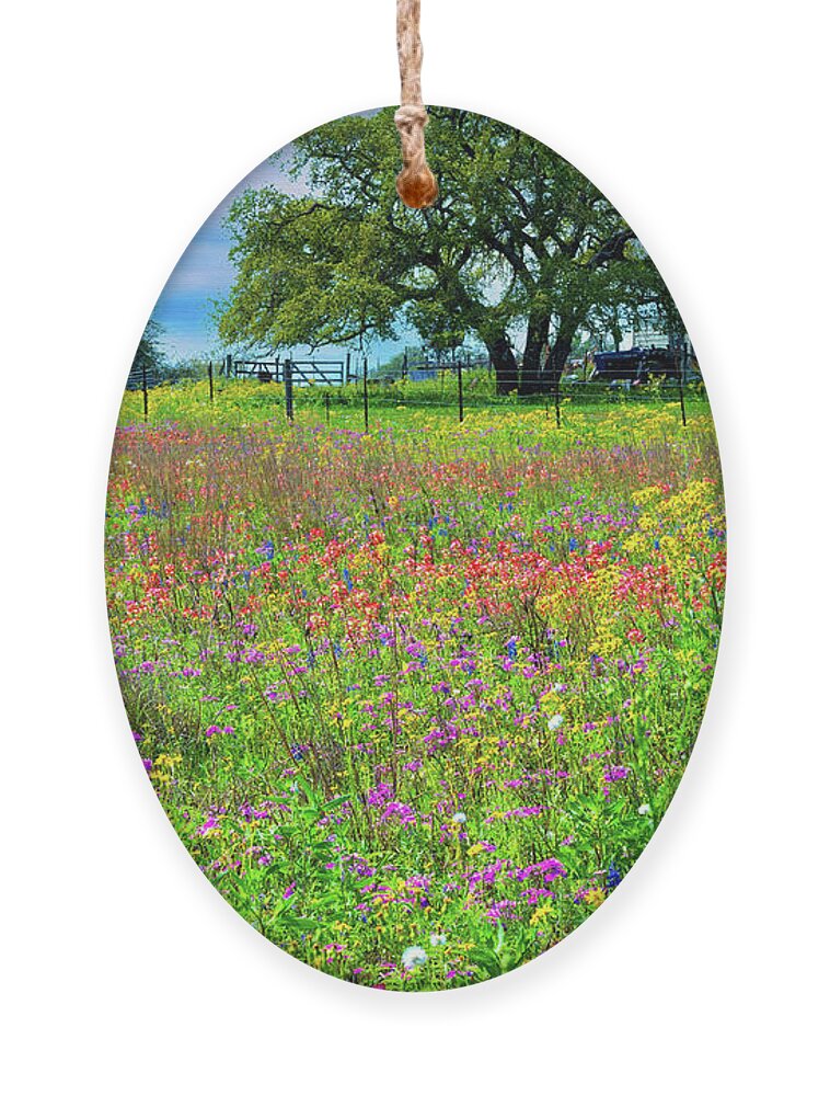 Texas Wildflowers Ornament featuring the photograph The Many Colors of Spring by Lynn Bauer