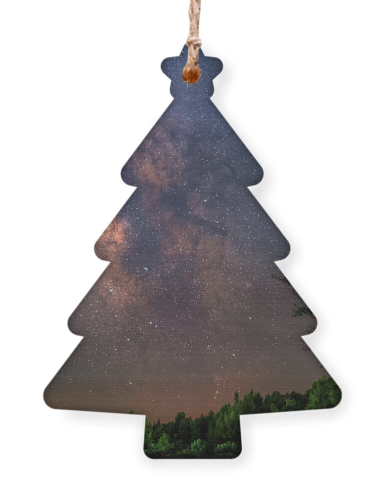 Milky Way Ornament featuring the photograph The Milky Way Over A Forest by Alexios Ntounas