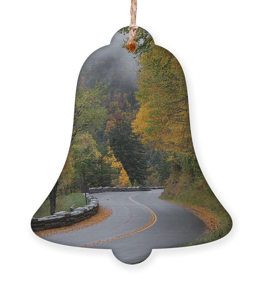 Landscape Ornament featuring the photograph The Mountain Road by Jamie Tyler