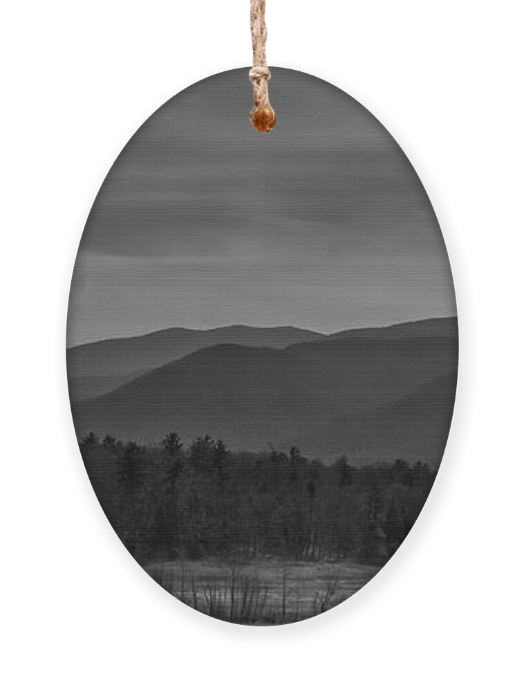 Landscape Ornament featuring the photograph The Mountains by Jamie Tyler