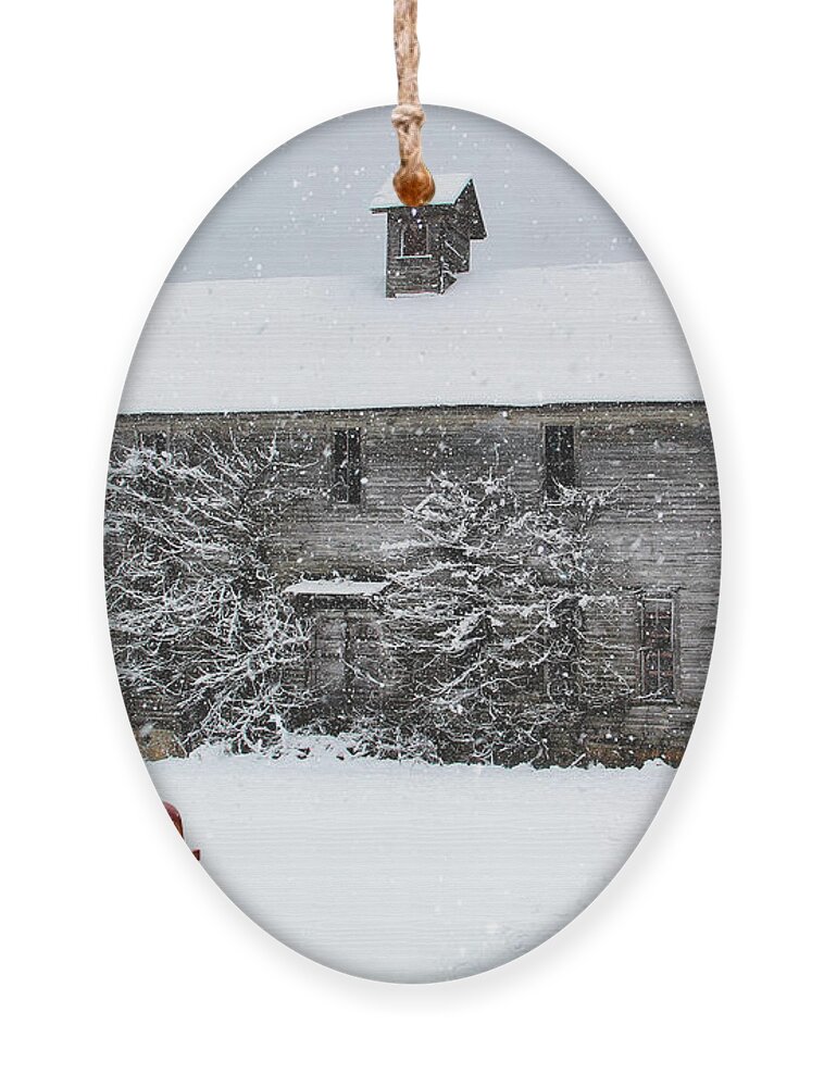 School Ornament featuring the photograph The Old Schoolhouse in Winter by Shelia Hunt