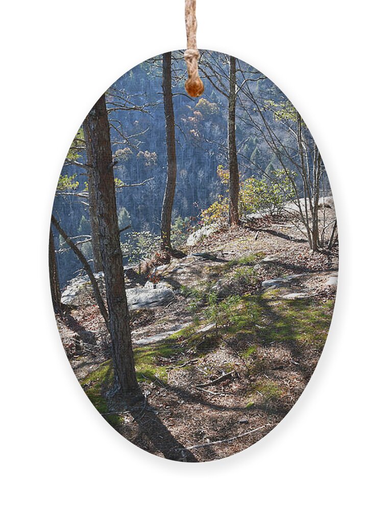 Obed Ornament featuring the photograph The Point Trail At Obed by Phil Perkins