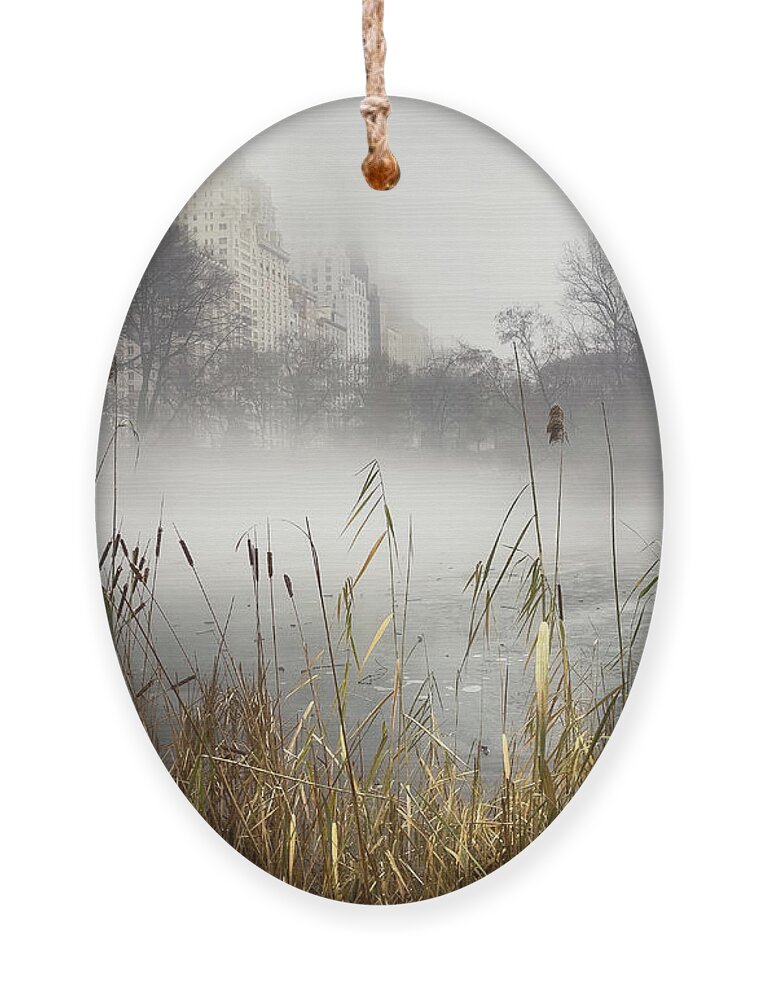 Central Park Ornament featuring the photograph The Pond and the Fog by Cate Franklyn