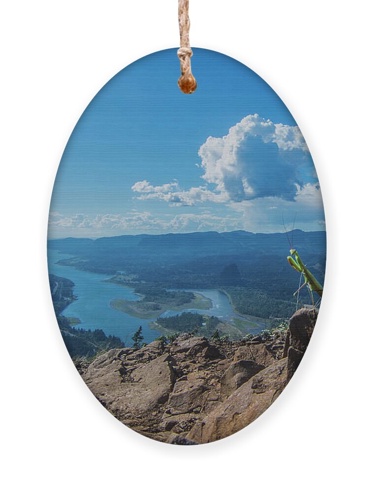 Animal Ornament featuring the photograph The Praying Mantis of Munra Point by Pelo Blanco Photo