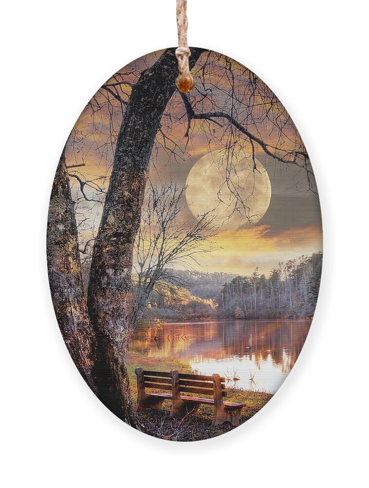 Carolina Ornament featuring the photograph The Quiet of Sunset II by Debra and Dave Vanderlaan