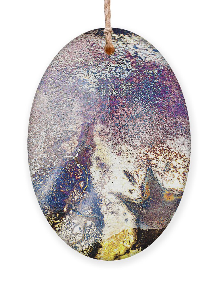 Yellow Ornament featuring the photograph The Rainbow Priest by Liquid Eye