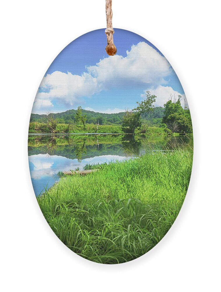 River Ornament featuring the photograph The River by Shelia Hunt