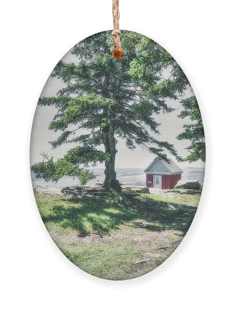 Pemaquid Point Lighthouse Park Ornament featuring the photograph The Tree of Pemaquid Point by Penny Polakoff