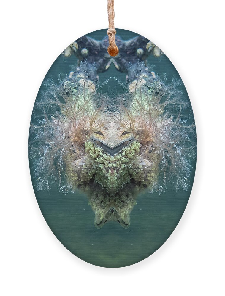 Magical Creature Ornament featuring the photograph The Tunicate God Laughs by Louise Lindsay