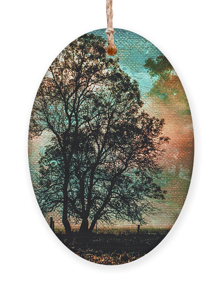 Veil Of Daybreak Ornament featuring the photograph The Veil of Daybreak by Susan Maxwell Schmidt