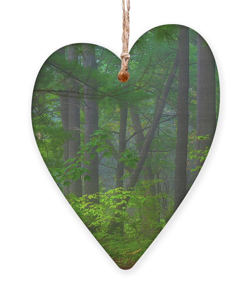 Forest Ornament featuring the photograph There is a Word for This by Cynthia Dickinson