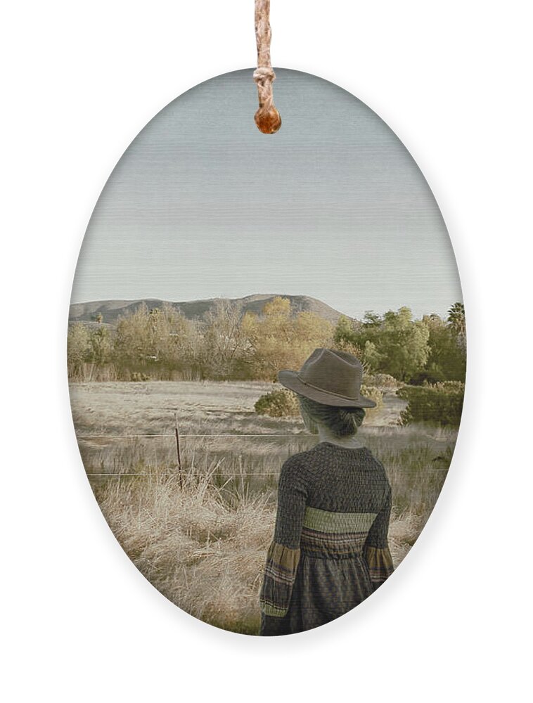 Sheep Ornament featuring the photograph This Beautiful Life by Alison Frank
