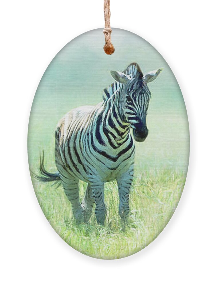 Zebra Ornament featuring the digital art Three Amigos by Jeanette Mahoney