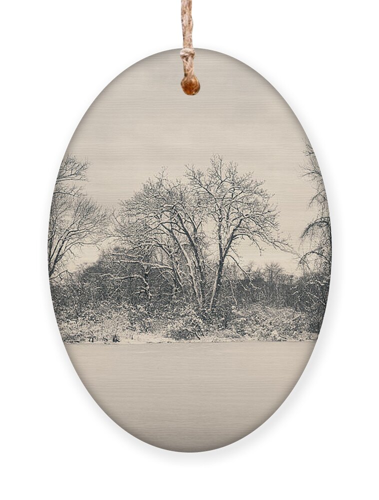 Atmosphere Ornament featuring the photograph Three Mile River XIV Toned by David Gordon