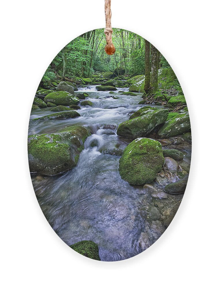 Smoky Mountains Ornament featuring the photograph Thunderhead Prong 17 by Phil Perkins