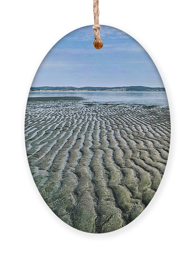 Beach Ornament featuring the photograph Tide rivulets by Bradley Morris
