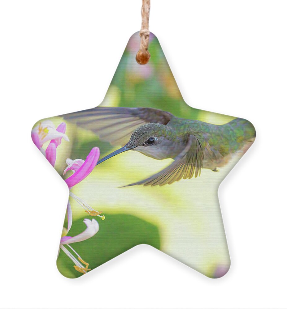 Nature Ornament featuring the photograph Tiny Beauty by Linda Shannon Morgan