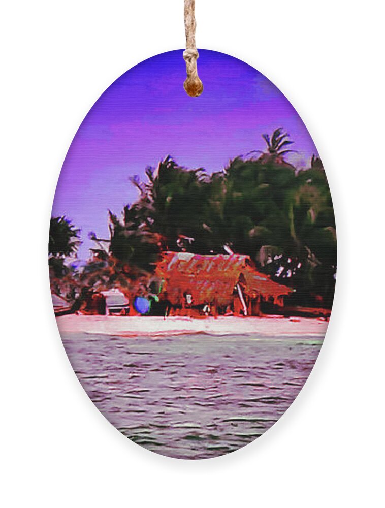 Islands Ornament featuring the painting Tiny Island Home by CHAZ Daugherty