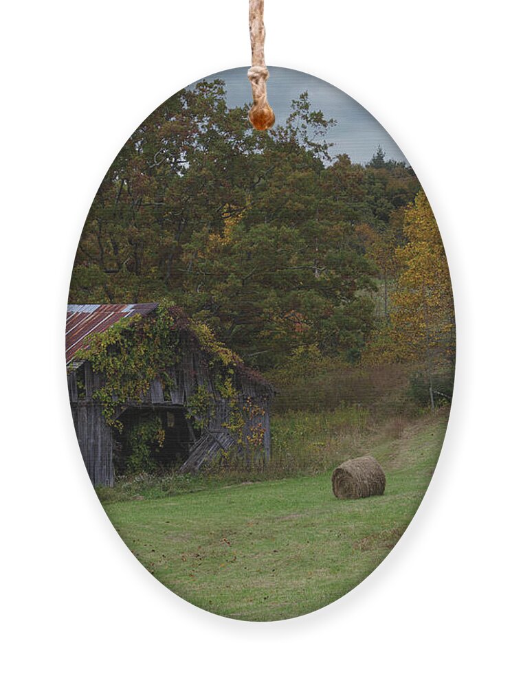 Old Ornament featuring the photograph Too Quaint to Tear Down by Steve Templeton