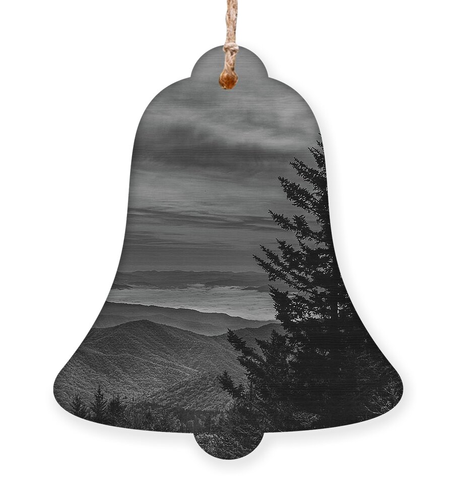 Tree Ornament featuring the photograph Top of the world by Jamie Tyler