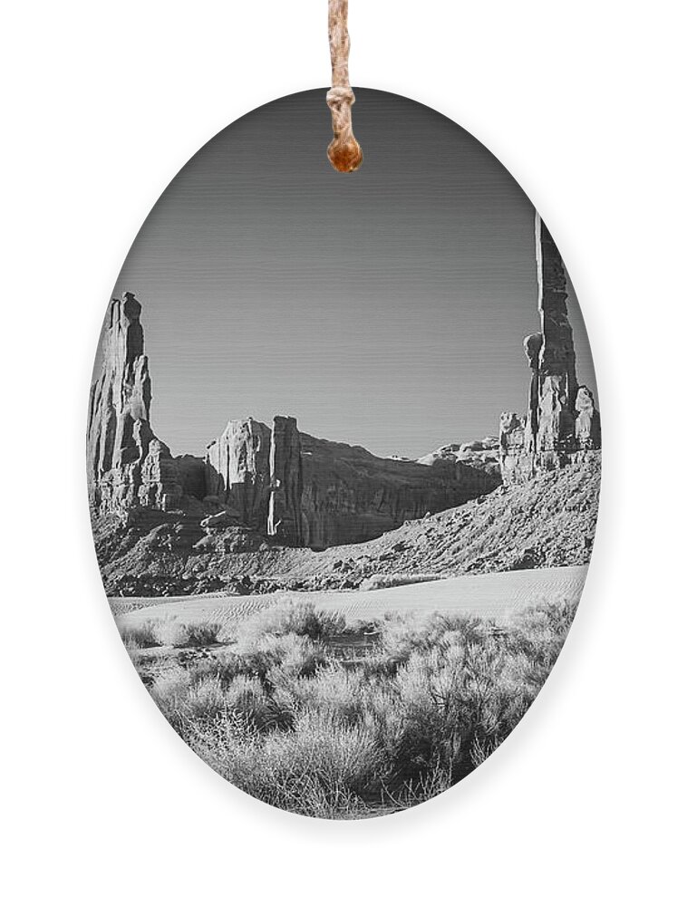 Photography Ornament featuring the photograph Totem Pole in Black and White by Henk Meijer Photography