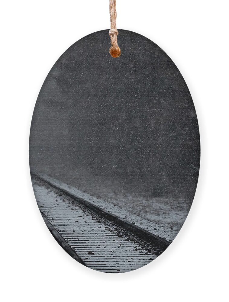 Train Ornament featuring the photograph Tracks in the Snow by Denise Kopko