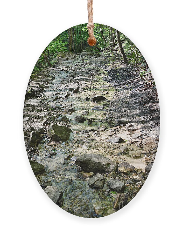 Trail Ornament featuring the photograph Trail Is A Creek by Phil Perkins