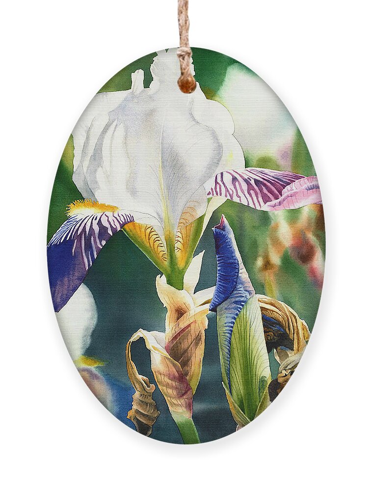 Iris Ornament featuring the painting Translucent Iris by Espero Art