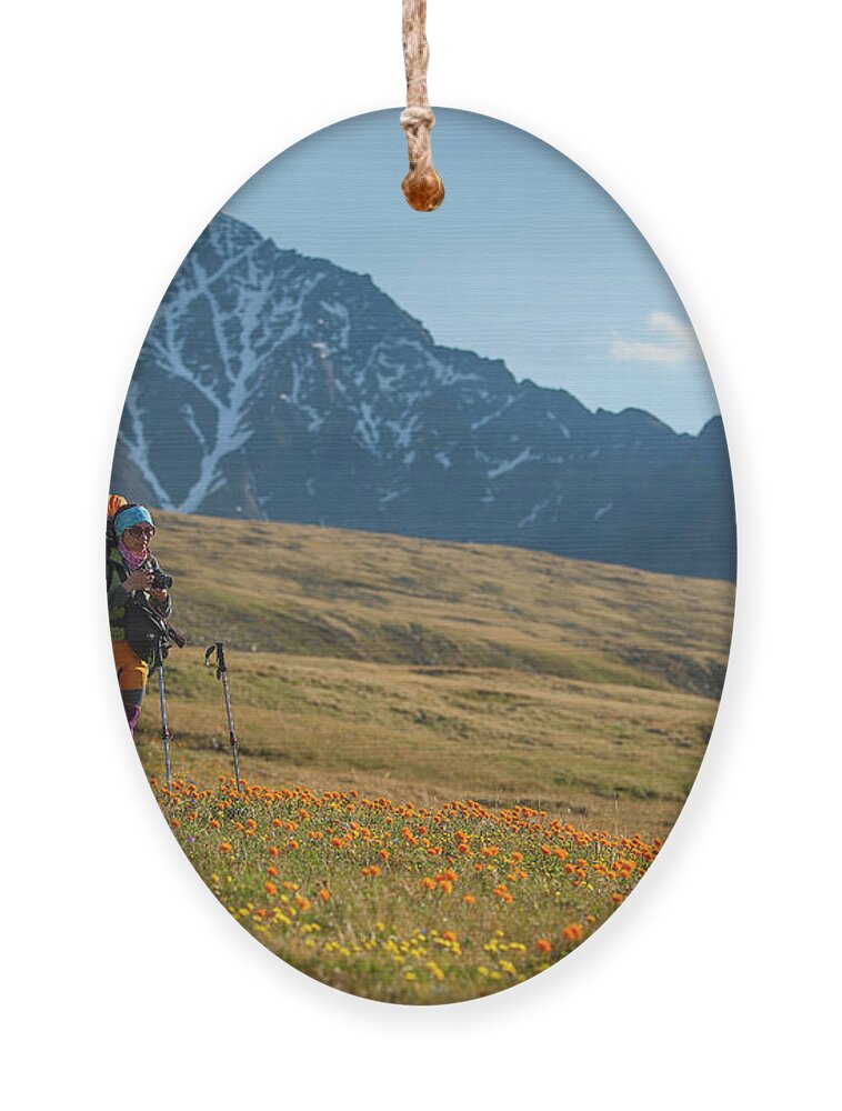 Herders Lifestyle Ornament featuring the photograph Travler Mongolia by Bat-Erdene Baasansuren