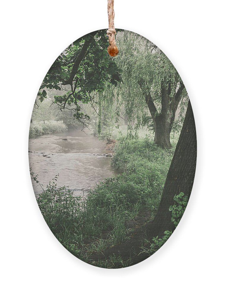 Tree Ornament featuring the photograph Tree by Cedar Creek by Jason Fink