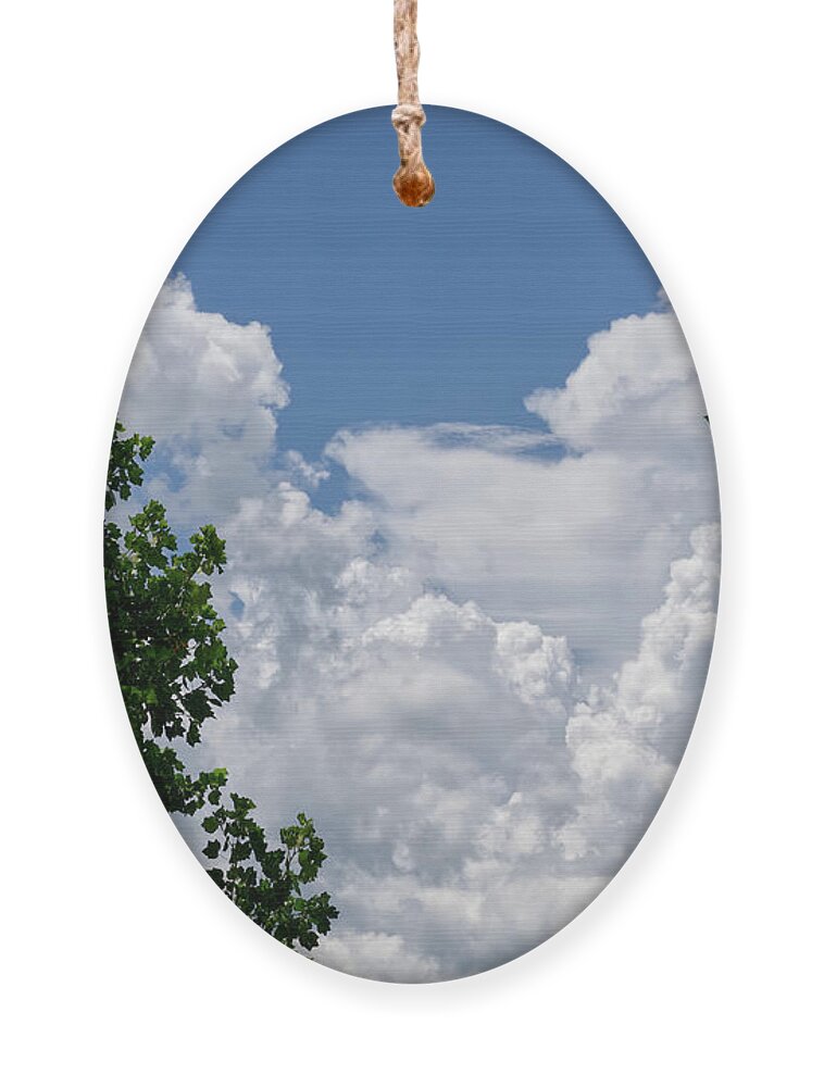 Green Tree Leaves Ornament featuring the photograph Trees Clouds Sky by Phil Perkins