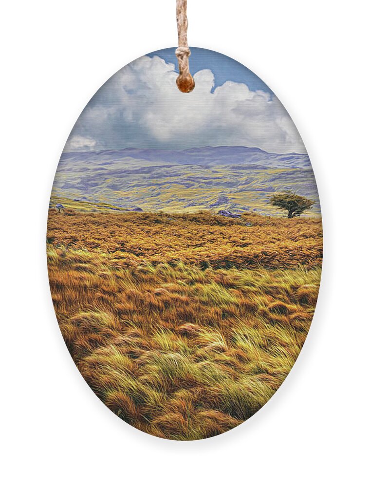 Clouds Ornament featuring the photograph Trees in the Autumn Irish Mist by Debra and Dave Vanderlaan