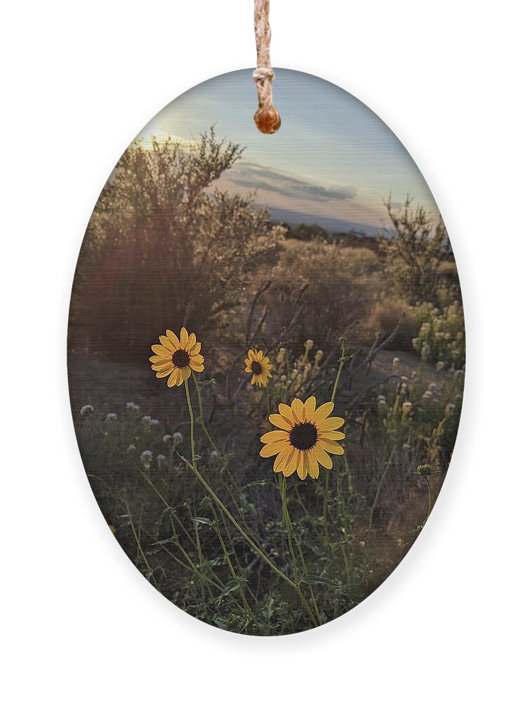 Flower Ornament featuring the photograph Tres Mirasol by Claudia Goodell