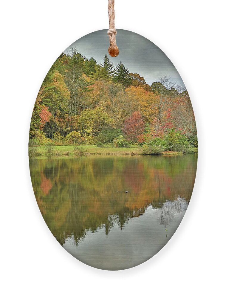 Pond In Autumn Ornament featuring the photograph Triangle Lake by Steve Templeton