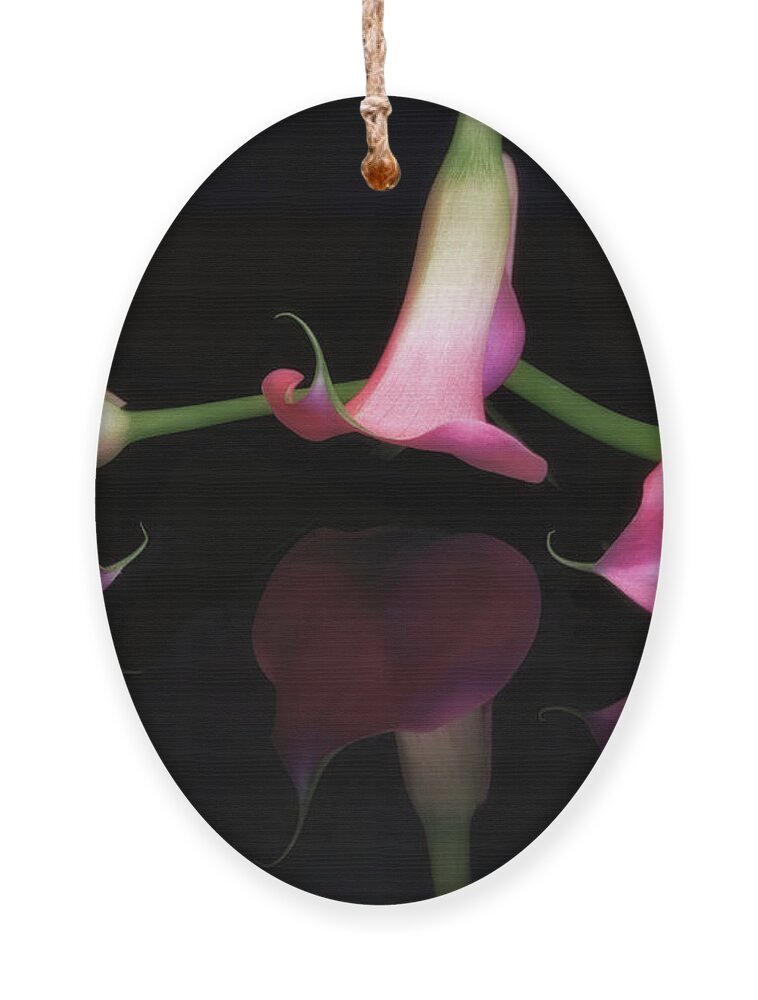 Cala Ornament featuring the photograph Triple Cala Lillies by Susan Candelario