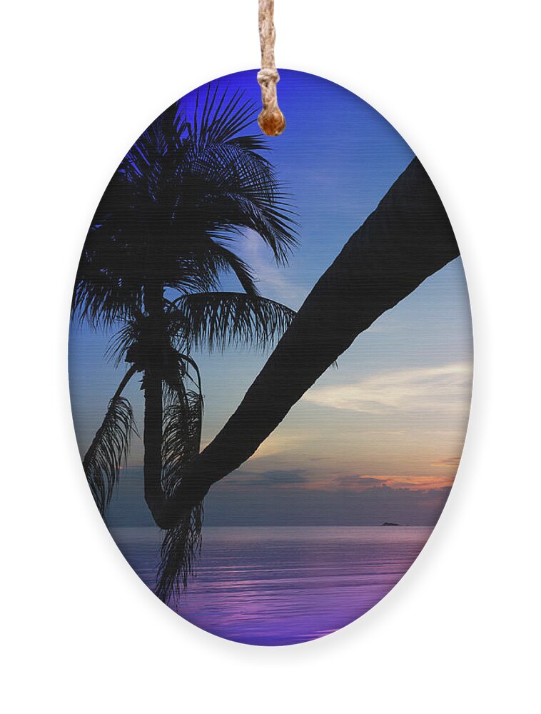 Palm Tree Ornament featuring the photograph Tripper Palme by Josu Ozkaritz