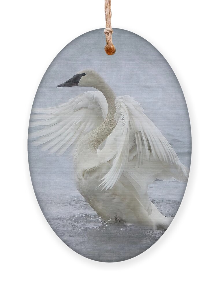 Swan Ornament featuring the photograph Trumpeter Swan - Misty Display by Patti Deters