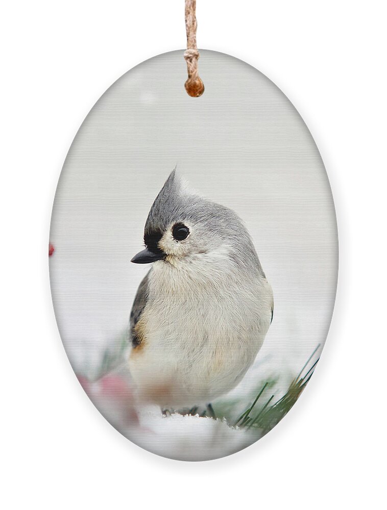 Titmouse Ornament featuring the photograph Tufted Titmouse Square by Christina Rollo