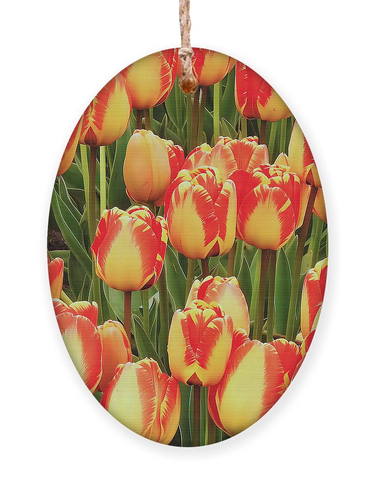 Tulips Ornament featuring the photograph Tulips Red and Yellow by Scott Cameron