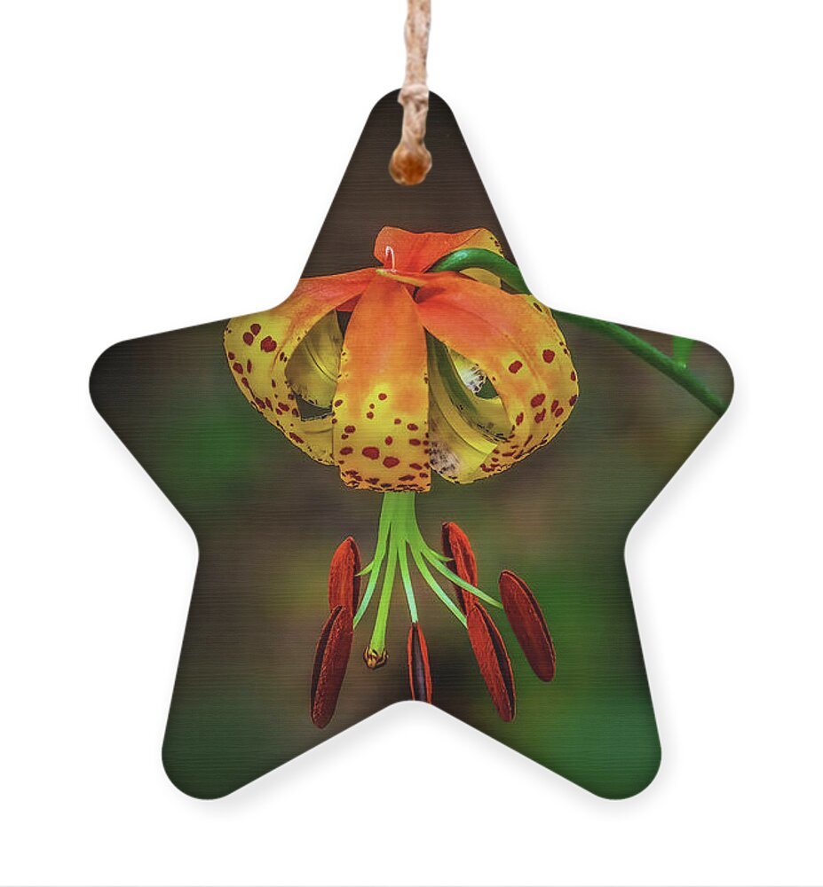 Lily Ornament featuring the photograph Turks Cap Lily by Shelia Hunt