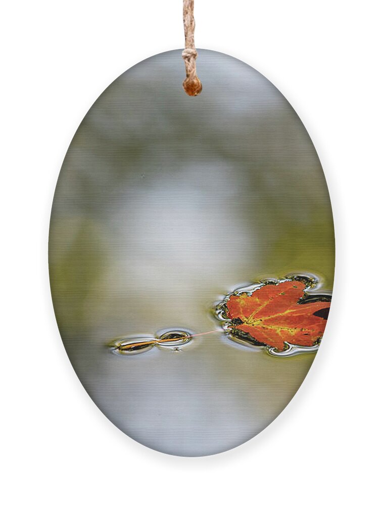 Autumn Ornament featuring the photograph Twin Lakes Gold by Kevin Suttlehan