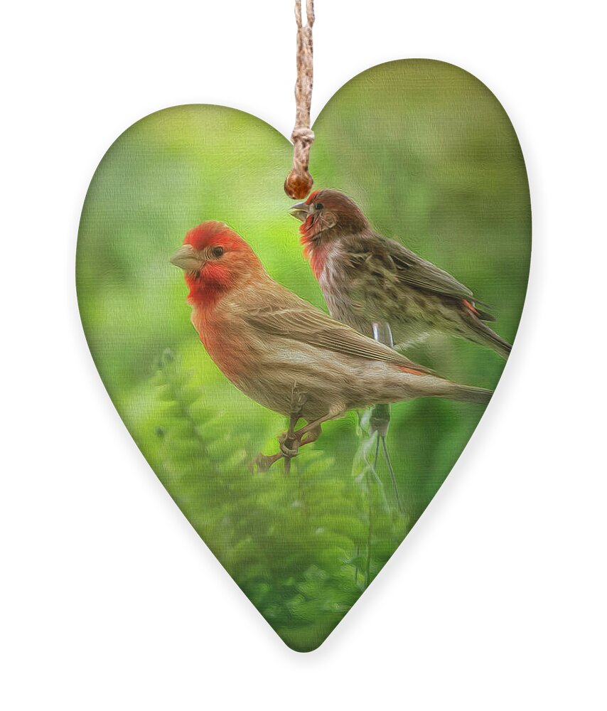 Finch Ornament featuring the photograph Two Little Finches by Shelia Hunt