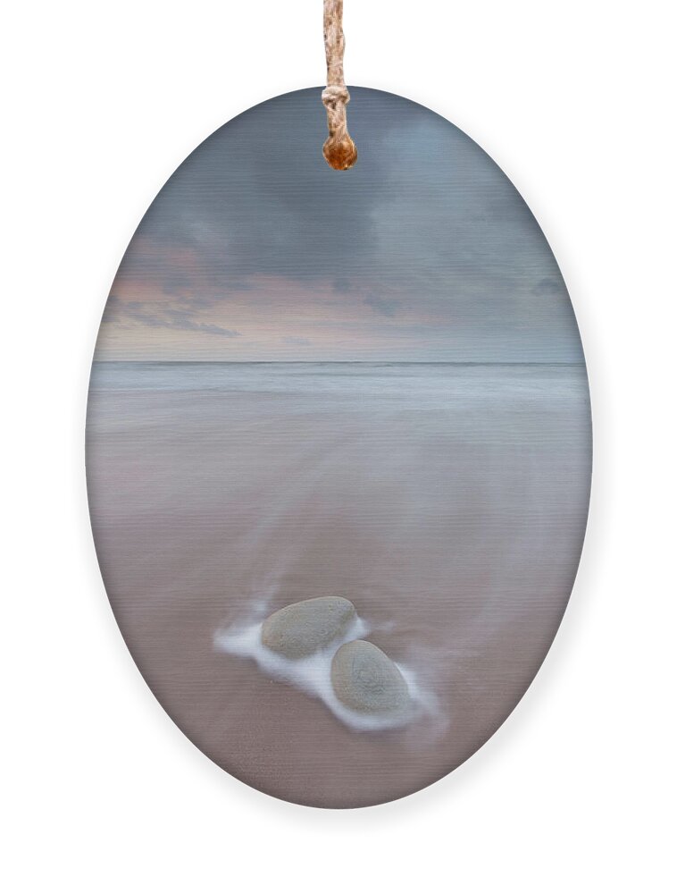 Beach Ornament featuring the photograph Two of a kind by Anita Nicholson