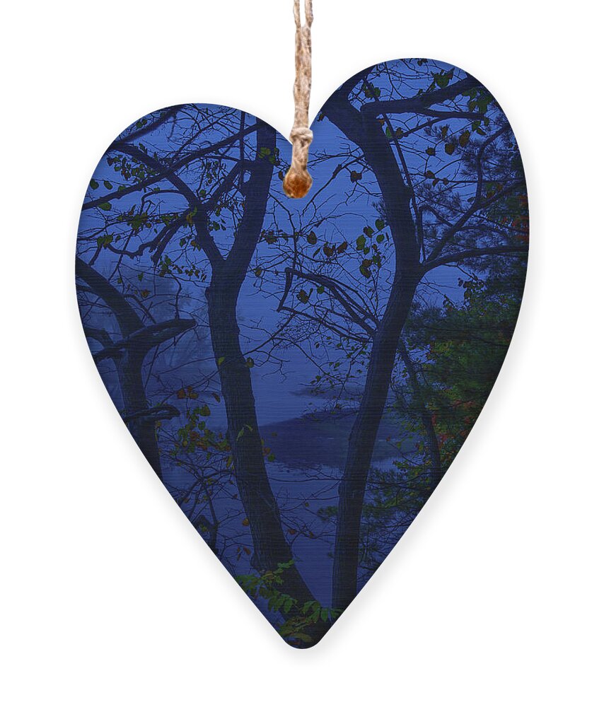 Praxis Ornament featuring the photograph Ubiquitous Silence of Blue by Cynthia Dickinson