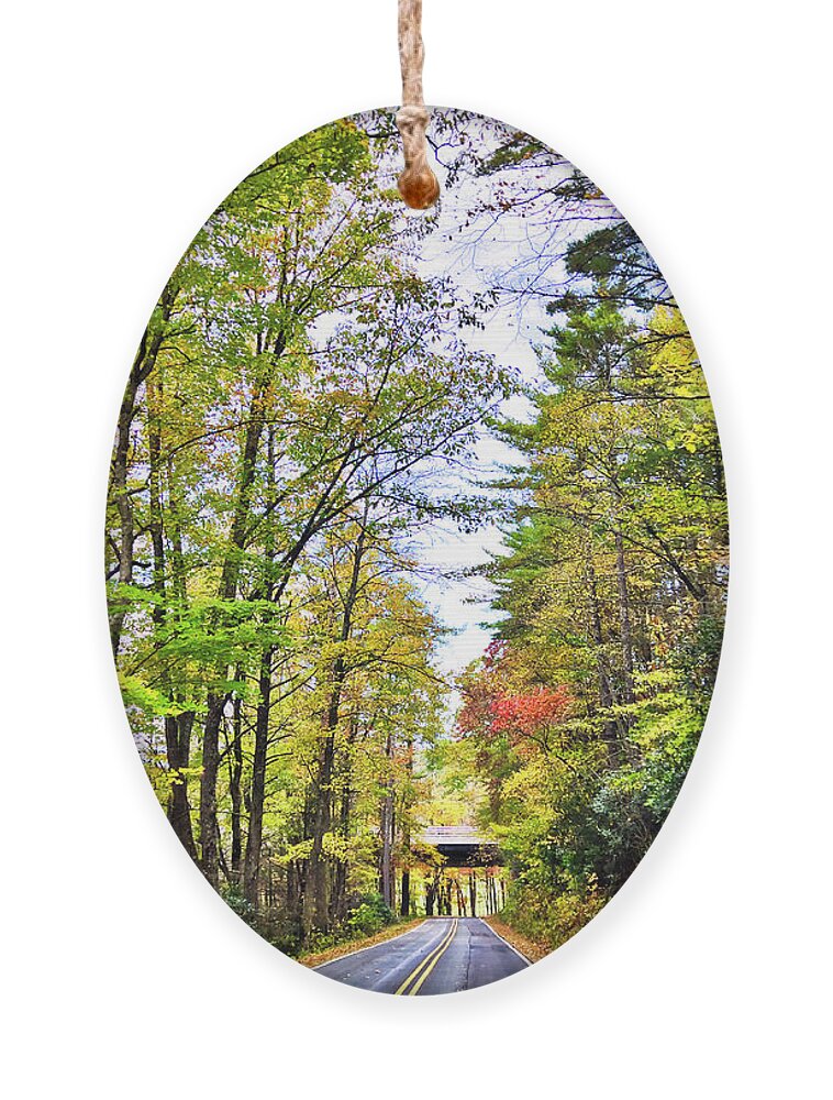 Blue Ridge Parkway Ornament featuring the photograph Under Parkway Bridge by Meta Gatschenberger