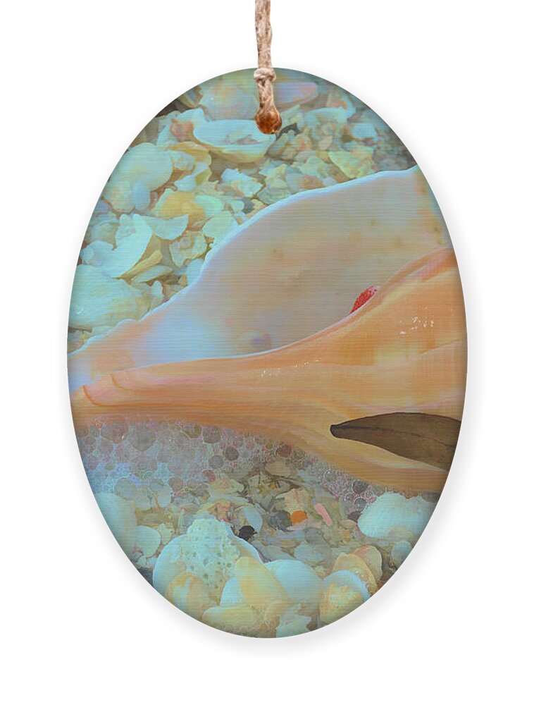 Conch Shell Ornament featuring the photograph Underwater by Alison Belsan Horton