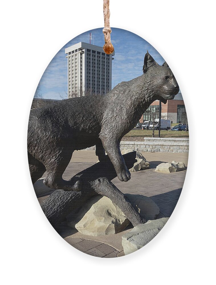 Wildcat Statue Ornament featuring the photograph University of Kentucky Wildcat statue by Eldon McGraw