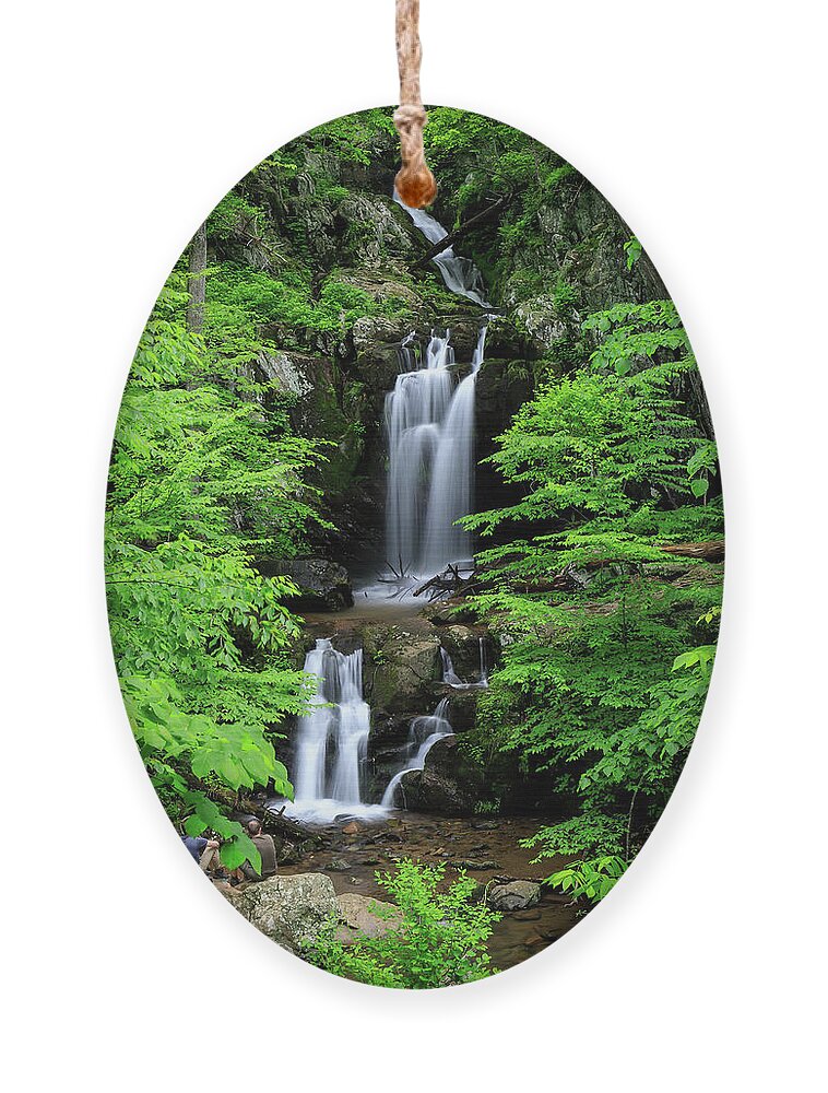 Upper Doyles River Falls Ornament featuring the photograph Upper Doyles River Falls by Chris Berrier