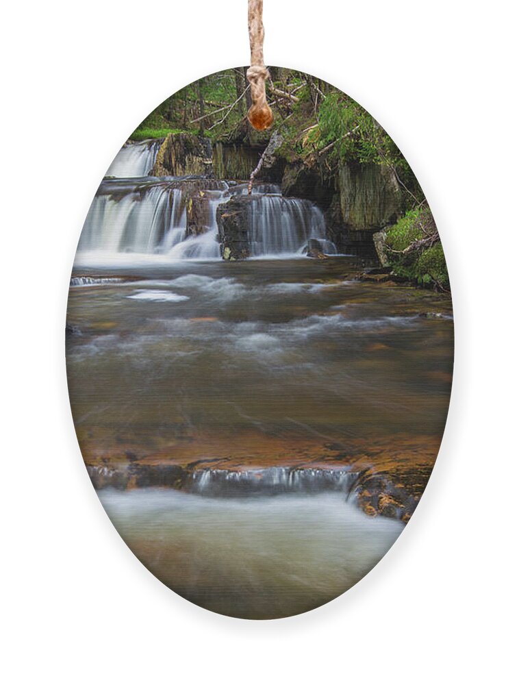 Upper Ornament featuring the photograph Upper Nathan Pond Brook Cascade by Chris Whiton